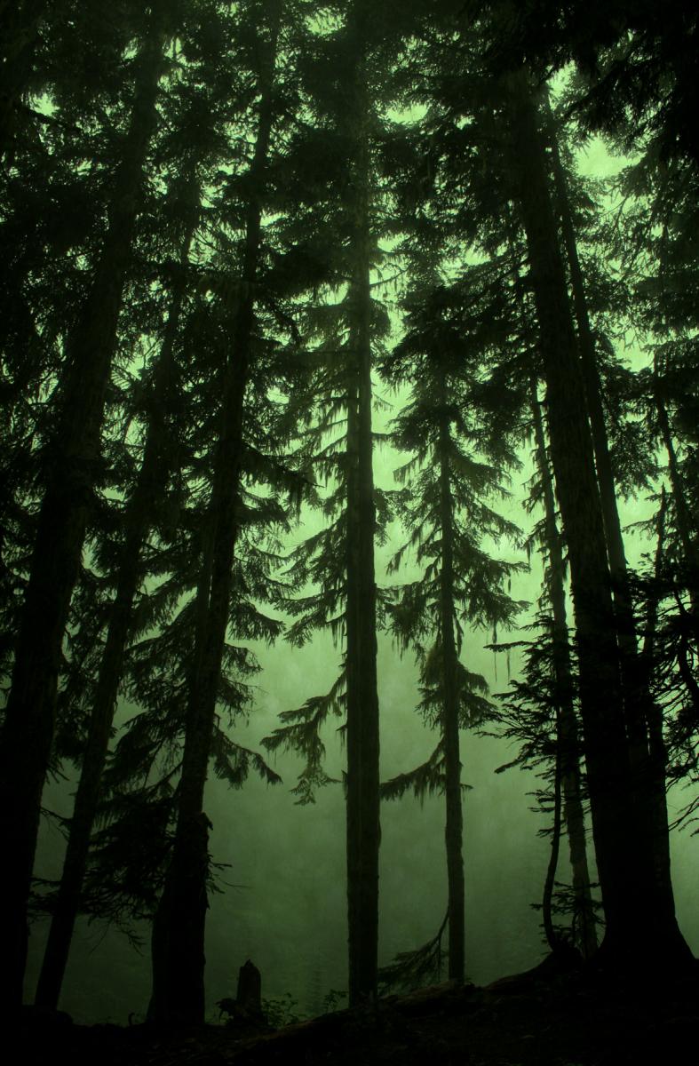 comet falls 1
