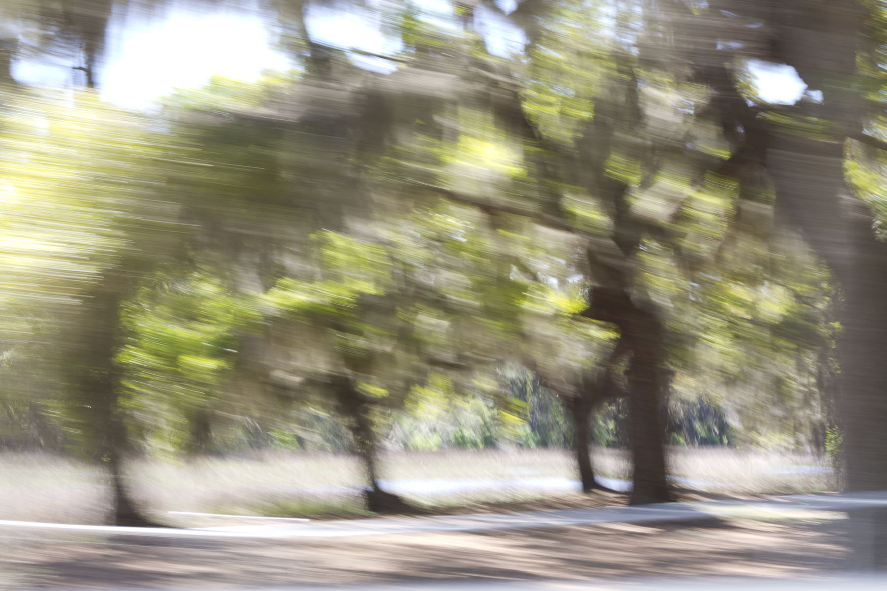 Road View, St. Helena Island SC