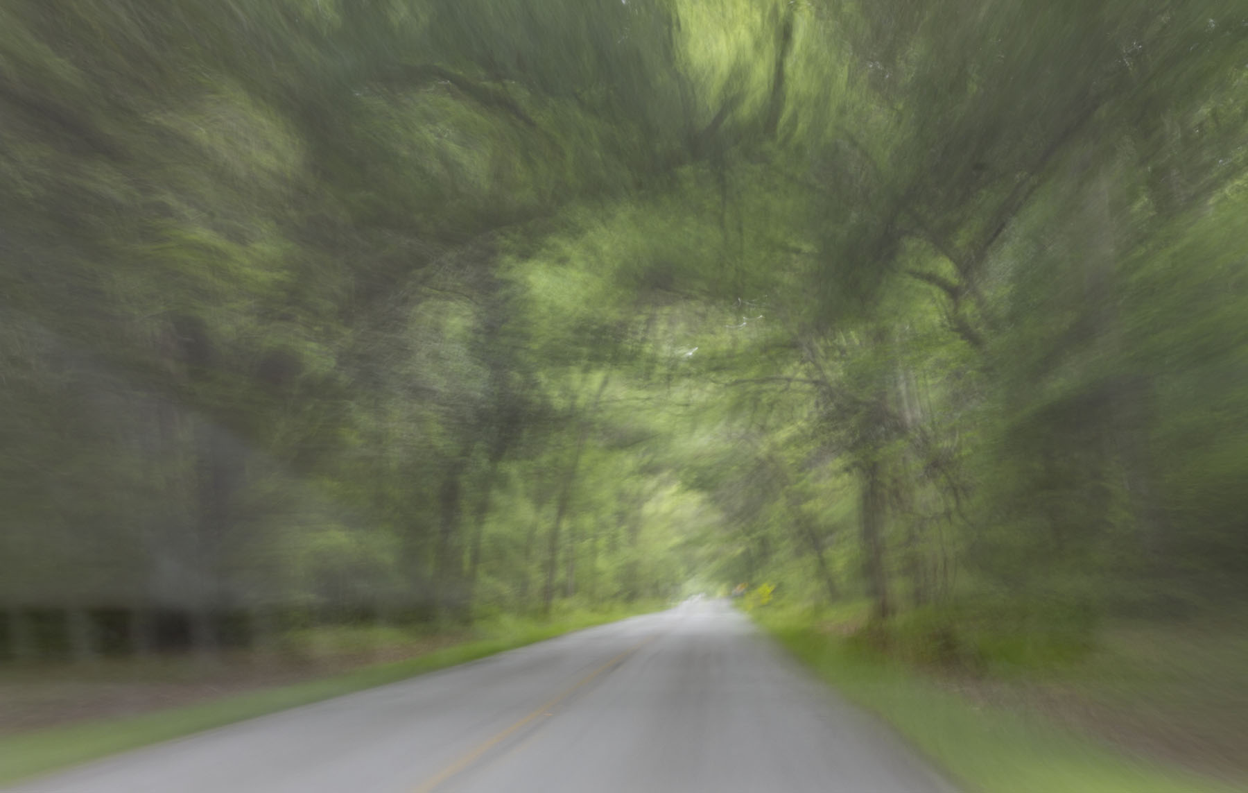 Road View, near Old Sheldon Church SC