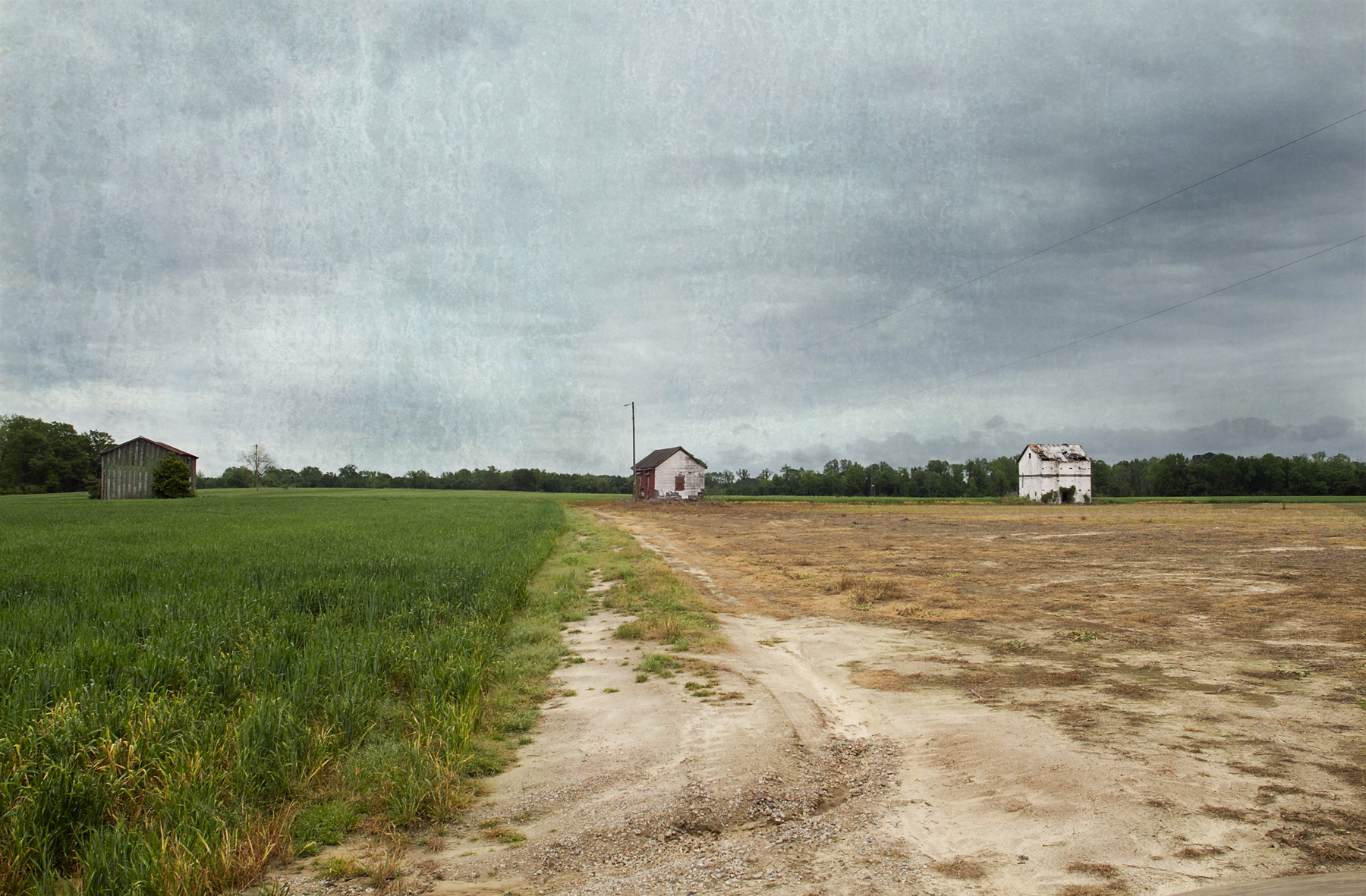 3 barns near South of the Border