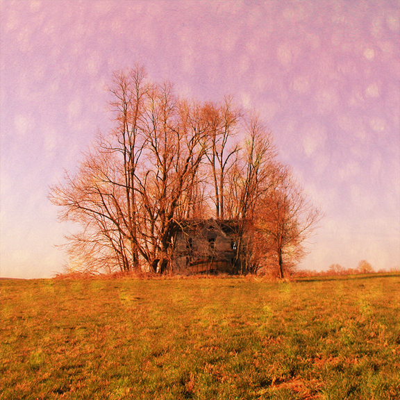 dream house 2