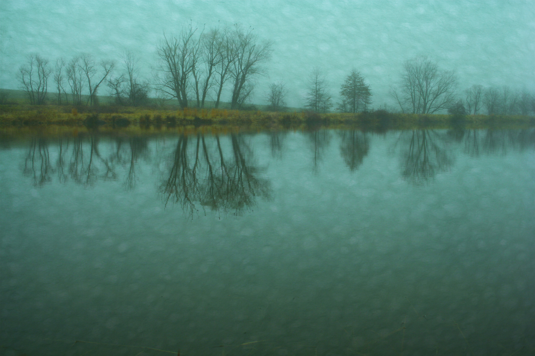 fog 9
