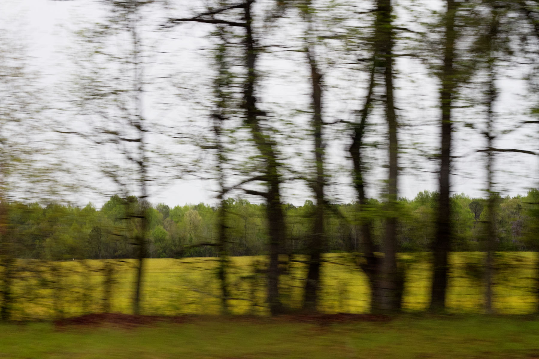 Road View, near Santee SC