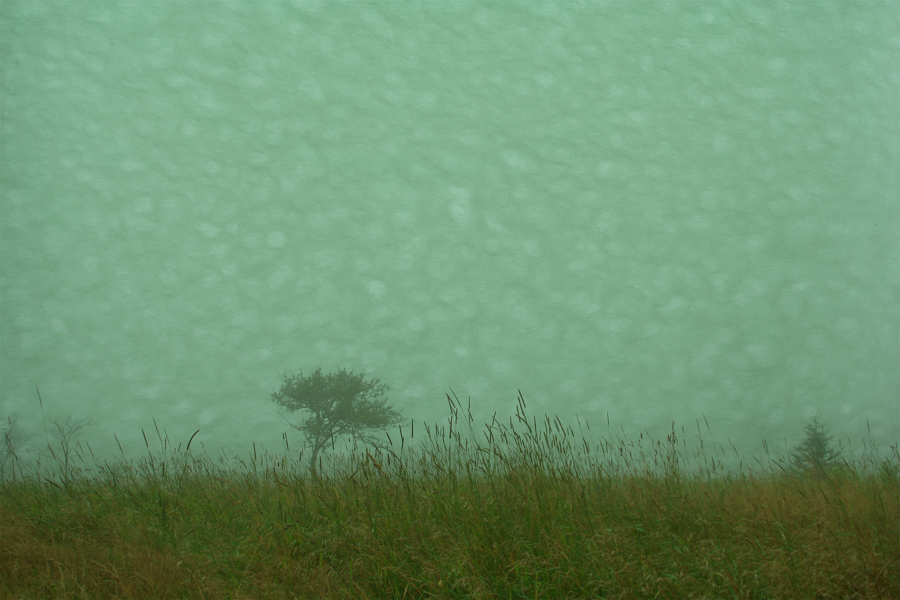 fog 3