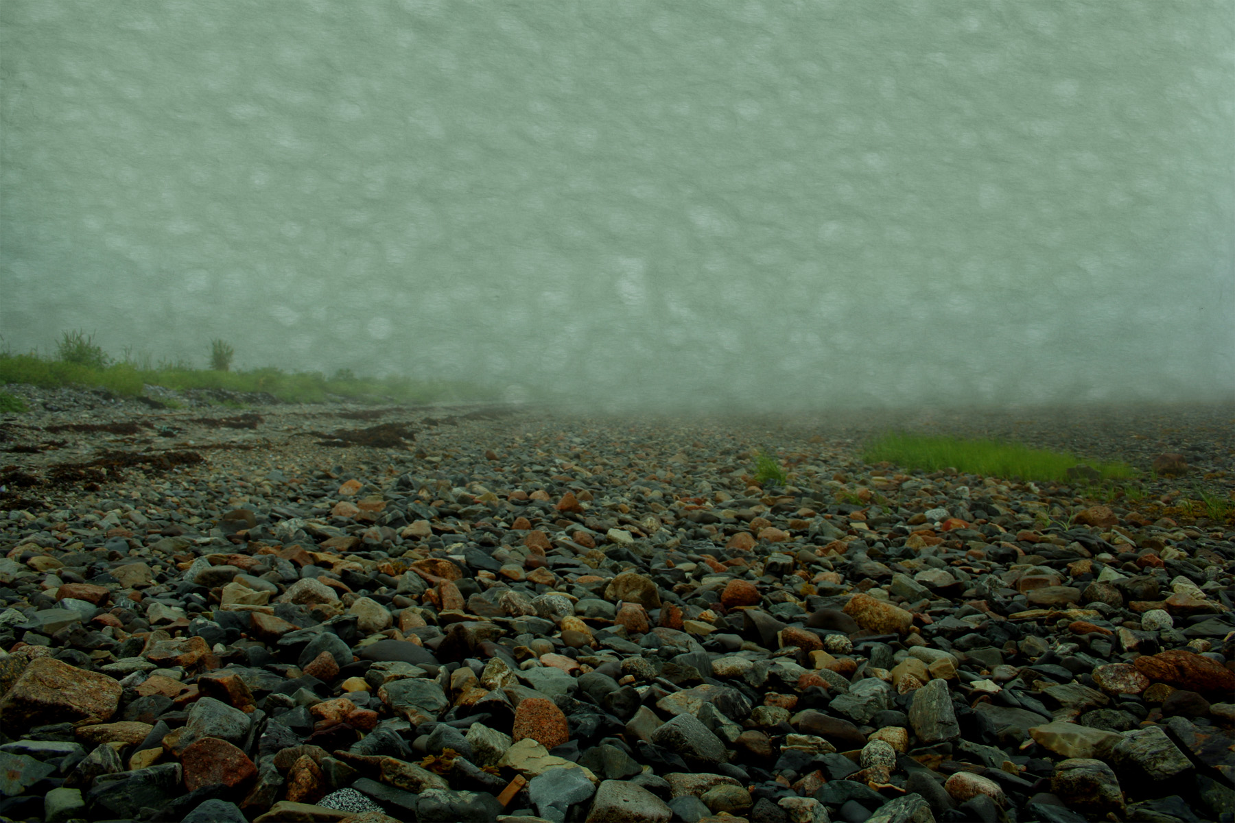 fog 1